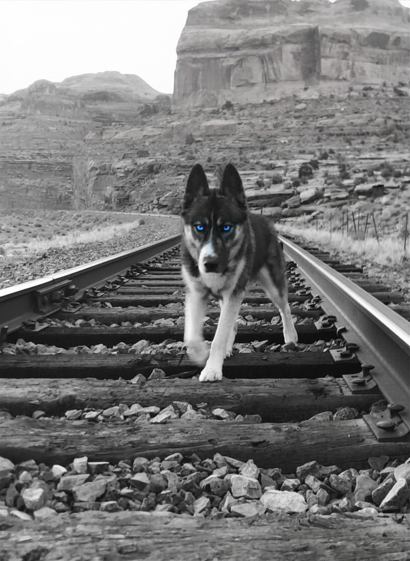 Kanoa Makai — the wolf before the wolf had a name